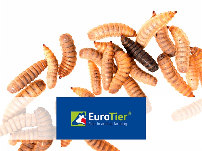 EuroTier